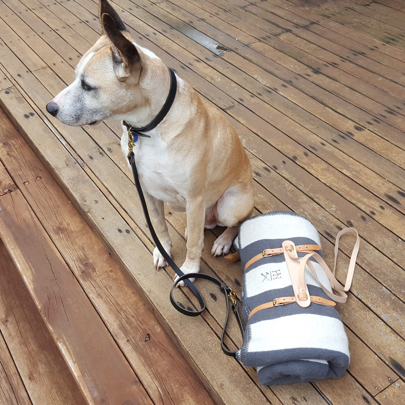 Wool Blanket & Carrier